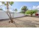 Low maintenance backyard with desert landscaping, mature trees, and private fencing at 1216 E Rowlands Ln, Phoenix, AZ 85022