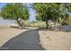 Community pathway surrounded by lush desert landscaping and mature trees at 1216 E Rowlands Ln, Phoenix, AZ 85022