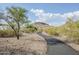 Scenic paved community pathway with mountain views and desert vegetation at 1216 E Rowlands Ln, Phoenix, AZ 85022