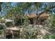 Lush backyard featuring a variety of trees, offering shade and privacy, creating a serene outdoor oasis at 1243 W Sherri Dr, Gilbert, AZ 85233