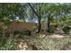 Serene backyard with mature trees, providing ample shade and a peaceful setting for outdoor relaxation and activities at 1243 W Sherri Dr, Gilbert, AZ 85233