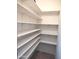 Walk-in pantry offers ample storage space with its many shelves for organized convenience at 127 S 75Th Pl, Mesa, AZ 85208
