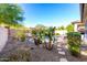 Expansive backyard showcasing the sparkling pool, mature trees and well-maintained landscaping at 12798 W Dove Wing Way, Peoria, AZ 85383