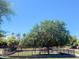 Beautiful community park featuring mature trees, a fenced area, and manicured lawns at 3104 E Broadway Rd # 212, Mesa, AZ 85204