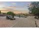 Desert backyard featuring a sparkling pool with a rock waterfall feature and lush landscaping at 31703 N 15Th Dr, Phoenix, AZ 85085