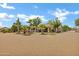 Backyard view showcasing covered patio, lush landscaping, palm trees, and firepit area at 4187 E Triple Crown Dr, San Tan Valley, AZ 85140