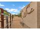 Wall decor featuring a scorpion design with a view of an enclosed yard at 4187 E Triple Crown Dr, San Tan Valley, AZ 85140