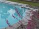 Inviting pool with stone trim and nearby pink flowers, creating a tranquil backyard oasis at 4747 E Arroyo Verde Dr, Paradise Valley, AZ 85253