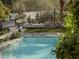 Stunning pool surrounded by lush desert landscaping, creating a tranquil oasis at 4747 E Arroyo Verde Dr, Paradise Valley, AZ 85253
