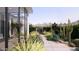 Landscaped walkway with cacti, desert plants, and a modern home visible in the background at 6649 E Ocotillo Rd, Paradise Valley, AZ 85253