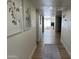 Bright hallway with light wood flooring leading to living area featuring decorative art on the wall at 703 E Corte Oro --, Phoenix, AZ 85020
