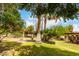 Lush green backyard featuring mature trees, lounge chairs, a table, and a covered patio area at 9430 S 47Th Pl, Phoenix, AZ 85044
