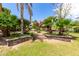 Green backyard showcasing a variety of plants, trees, and a tiered garden area with steps at 9430 S 47Th Pl, Phoenix, AZ 85044