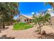 Spacious backyard features green lawn, rock landscaping, and lush trees under a blue sky at 16023 S 30Th Pl, Phoenix, AZ 85048