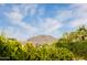 Scenic view of the mountain range beyond lush landscaping and rooftops, capturing the natural beauty of the location at 20585 W Garden St, Buckeye, AZ 85396