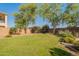 Well-maintained backyard with mature landscaping and a lush green lawn, perfect for outdoor activities at 2735 E Flower Ct, Gilbert, AZ 85298