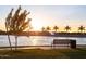 Bench overlooking serene pond lined with palm trees at sunset at 3437 E Appaloosa Rd, Gilbert, AZ 85296