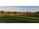 Community park featuring a green lawn, a sand volleyball court, and mature trees at 3437 E Appaloosa Rd, Gilbert, AZ 85296