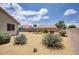 Desert backyard with a brick fence, rock features and mature desert landscaping at 4141 W Potter Dr, Glendale, AZ 85308