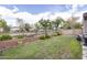 Lush backyard with greenery and partial fencing, offering a private outdoor space for relaxation and activities at 6932 W Harwell Rd, Laveen, AZ 85339