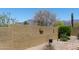 Backyard view of a landscaped private wall with desert flora at 7144 E San Cristobal Way, Gold Canyon, AZ 85118