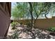 Side yard with desert landscaping, mature trees, and a gravel ground cover at 7144 E San Cristobal Way, Gold Canyon, AZ 85118