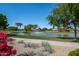 Scenic pond view featuring a fountain, palm trees, and meticulous landscaping for a serene outdoor experience at 7272 W Crystal Rd, Glendale, AZ 85308