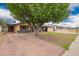 Charming single-story home with a beautiful mature tree in front and extended driveway at 7755 W Cora Ln, Phoenix, AZ 85033