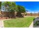 Spacious backyard featuring green grass, trees for shade and a block wall for privacy at 7930 W Wescott Dr, Glendale, AZ 85308