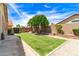 Large backyard featuring grass, retaining wall planters, and a block wall fence at 7930 W Wescott Dr, Glendale, AZ 85308