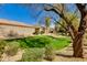 Backyard with lush green grass and mature trees, creating a peaceful outdoor space in a tranquil community at 11680 E Sahuaro Dr # 1059, Scottsdale, AZ 85259