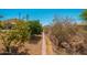 View of backyard, mountain views at 12366 N 129Th St, Scottsdale, AZ 85259