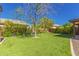 Spacious backyard features artificial turf, mature trees, and well-maintained landscaping, creating a serene outdoor space at 1453 E Elgin Pl, Chandler, AZ 85225
