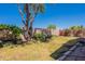 A spacious backyard featuring a large tree, low-maintenance landscaping, and a clear blue sky at 170 E Canary Ct, San Tan Valley, AZ 85143