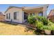 Backyard with well-maintained lawn, covered patio, planters, and privacy fence at 170 E Canary Ct, San Tan Valley, AZ 85143