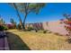 Landscaped backyard with a lawn, mature trees, and colorful flower beds offering a serene retreat at 170 E Canary Ct, San Tan Valley, AZ 85143