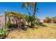 Well-manicured backyard with raised garden beds, beautiful landscaping, and shade from a mature tree at 170 E Canary Ct, San Tan Valley, AZ 85143