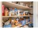 Well-stocked pantry with organized shelves containing a variety of food items and household supplies at 170 E Canary Ct, San Tan Valley, AZ 85143