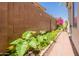 Landscaped side yard featuring a brick wall, various flowers and plants, and a stone pathway at 170 E Canary Ct, San Tan Valley, AZ 85143