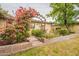Charming backyard featuring an arched trellis covered in bright bougainvillea and a brick-lined garden bed at 1708 E Westchester Dr, Tempe, AZ 85283