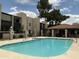 Community pool is surrounded by grassy area and has chairs, tables, and a covered seating area at 1927 E Hampton Ave # 260, Mesa, AZ 85204