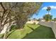 Expansive backyard featuring well-maintained artificial turf, mature trees, and a privacy fence at 1940 E Citation Ln, Tempe, AZ 85284