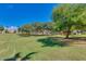 Expansive green space featuring mature trees, playground, and well-maintained lawn at 2341 S Gordon --, Mesa, AZ 85209