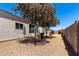 Picturesque backyard showcasing mature trees providing ample shade at 4080 W Goldmine Mountain Dr, San Tan Valley, AZ 85144
