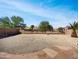 Gravel backyard surrounded by a block wall, with green trees and a blue sky at 43530 W Eddie Way, Maricopa, AZ 85138