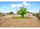 Dirt backyard featuring a medium sized tree in the center at 508 S Pasadena --, Mesa, AZ 85210