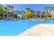 Community pool and lounge chairs are surrounded by mature palm trees at 5350 E Deer Valley Dr # 3274, Phoenix, AZ 85054