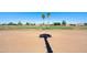 Scenic golf course view with palm trees and lush greenery, perfect for golf enthusiasts at 992 S Roanoke St, Gilbert, AZ 85296