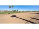 Picturesque view of the golf course with palm trees and open green space at 992 S Roanoke St, Gilbert, AZ 85296
