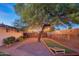 Entertainer's backyard featuring a cornhole game, large tree, and ambient string lights at 10007 N 30Th Pl, Phoenix, AZ 85028